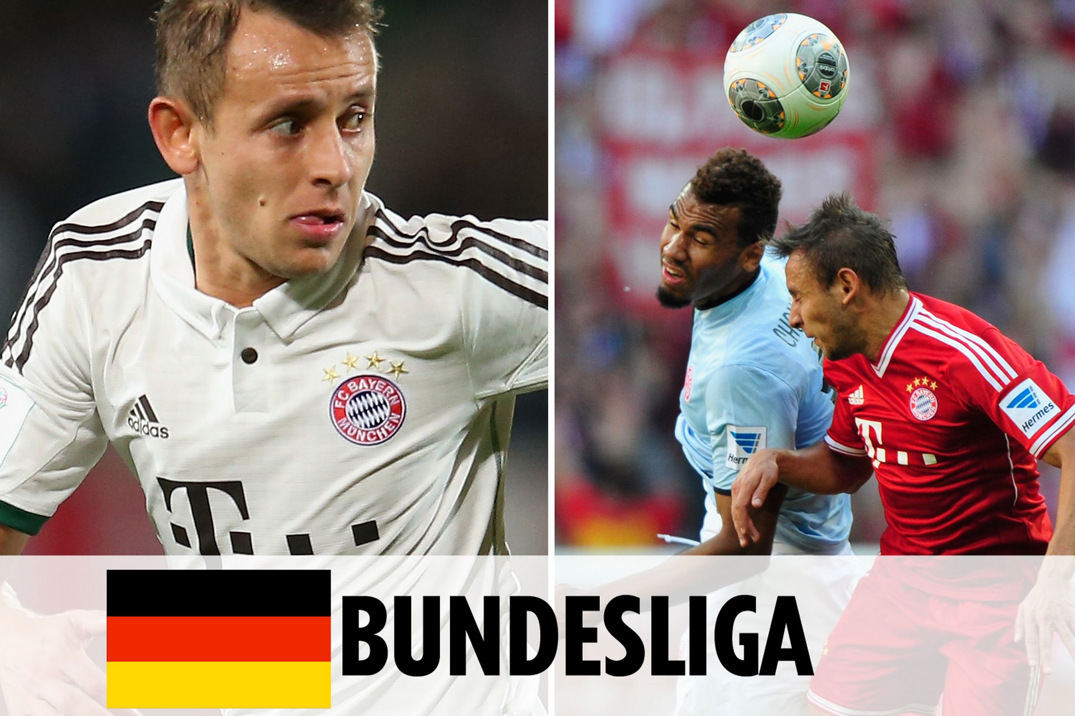 用品行业的 用品行业的