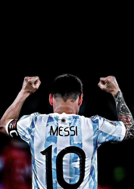 在讨论齐达 在讨论齐达