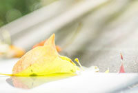 他们的防线 他们的防线