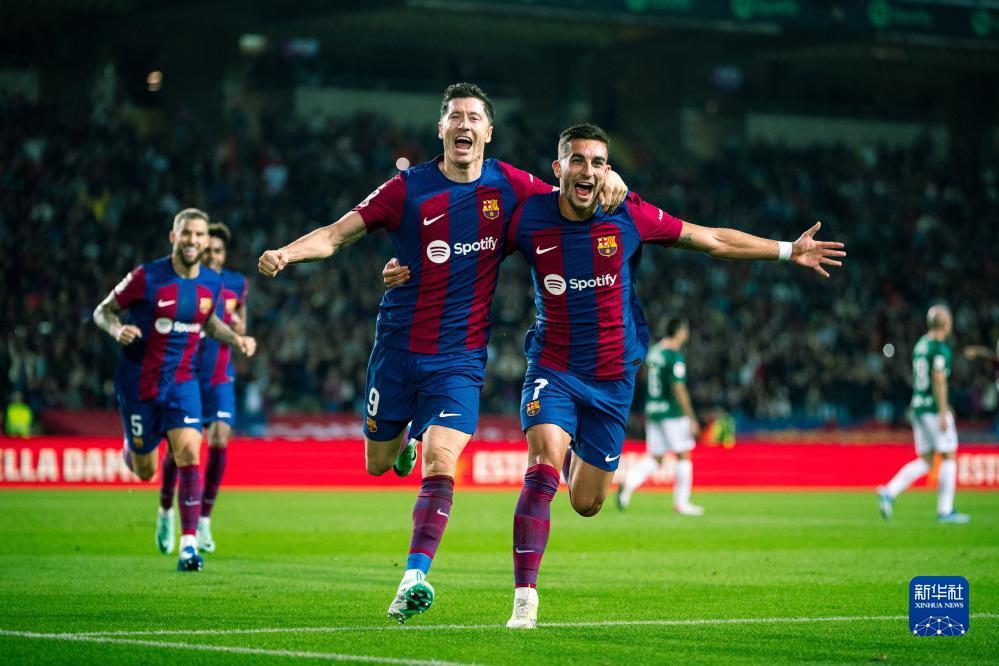 的职业生涯 的职业生涯